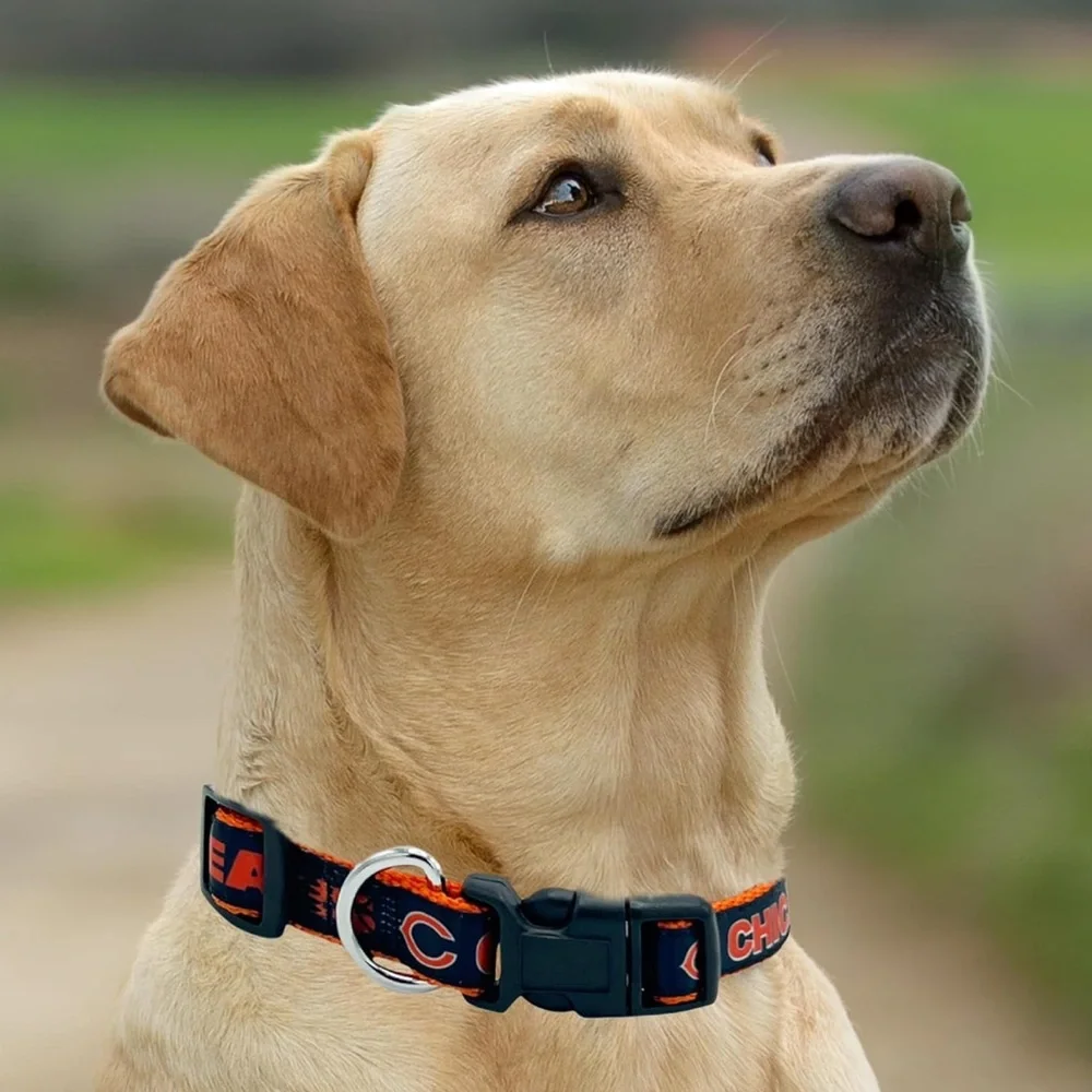 NWT Pets First NFL Chicago‎ Bears Pet Collar – Large